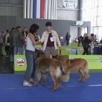 Salzburg Clubschau Mai 06 143 